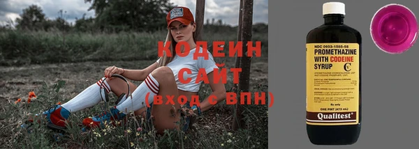 гидра Арсеньев