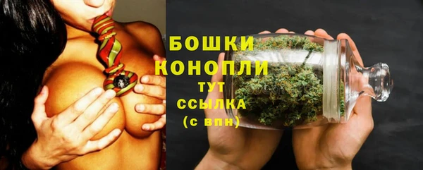 гидра Арсеньев