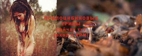 ALPHA PVP Армянск