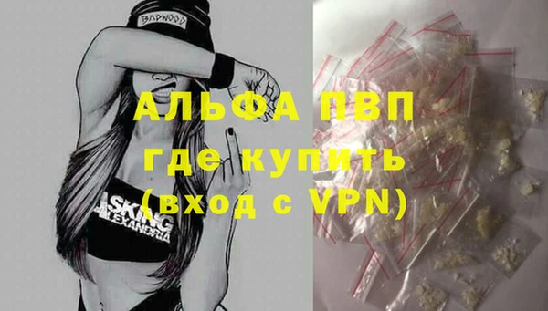 Альфа ПВП Няндома
